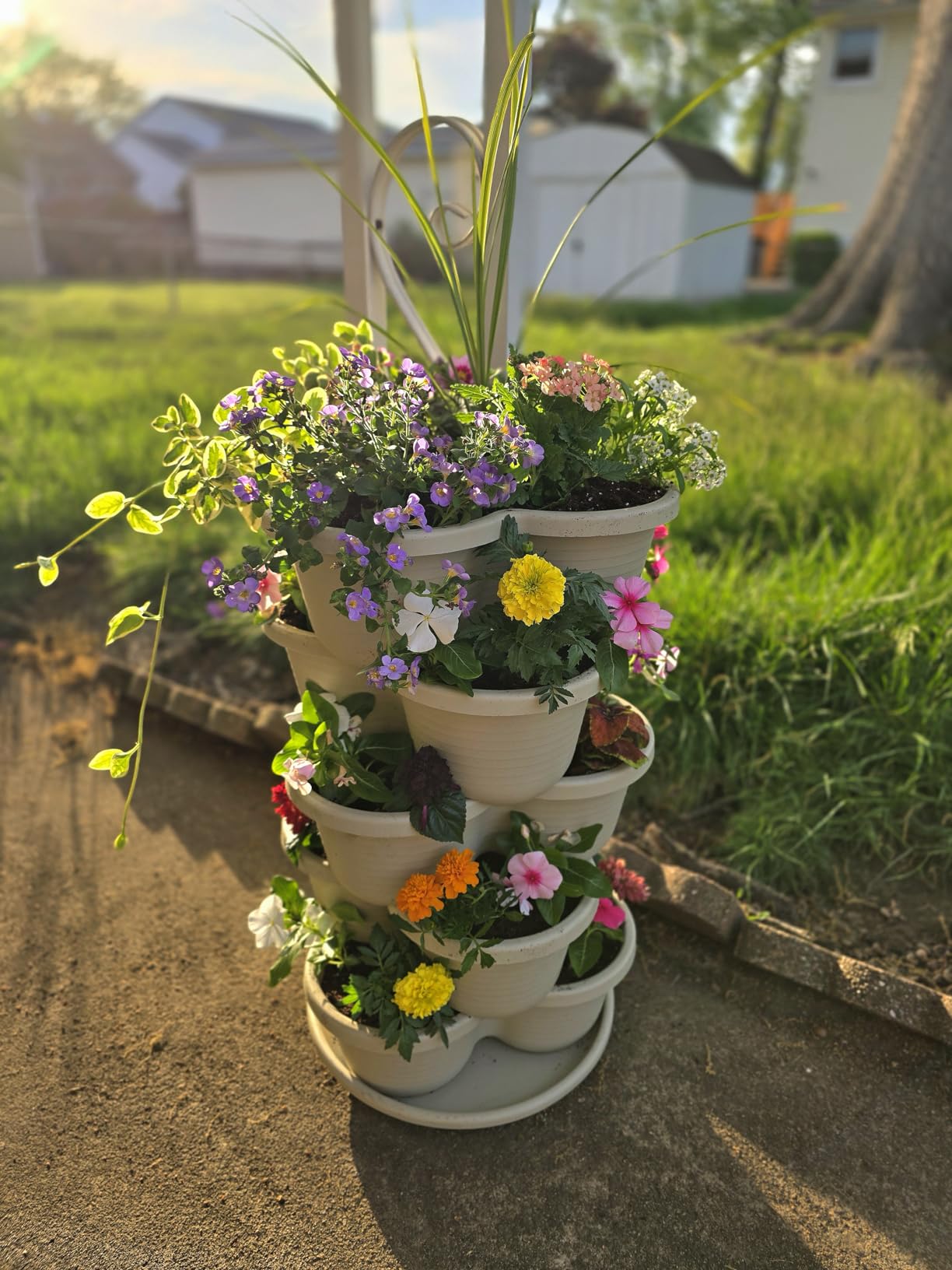 VIVOSUN 2-Pack 5 Tier Vertical Gardening Stackable Planter for Strawberries customer photo 1