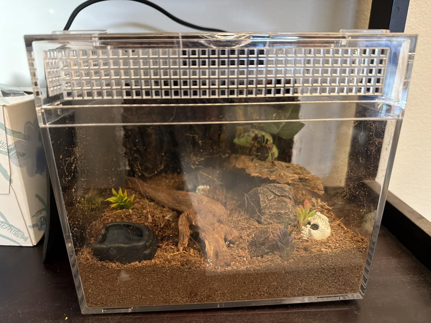 Reptile Growth Mini Reptile Terrarium,12