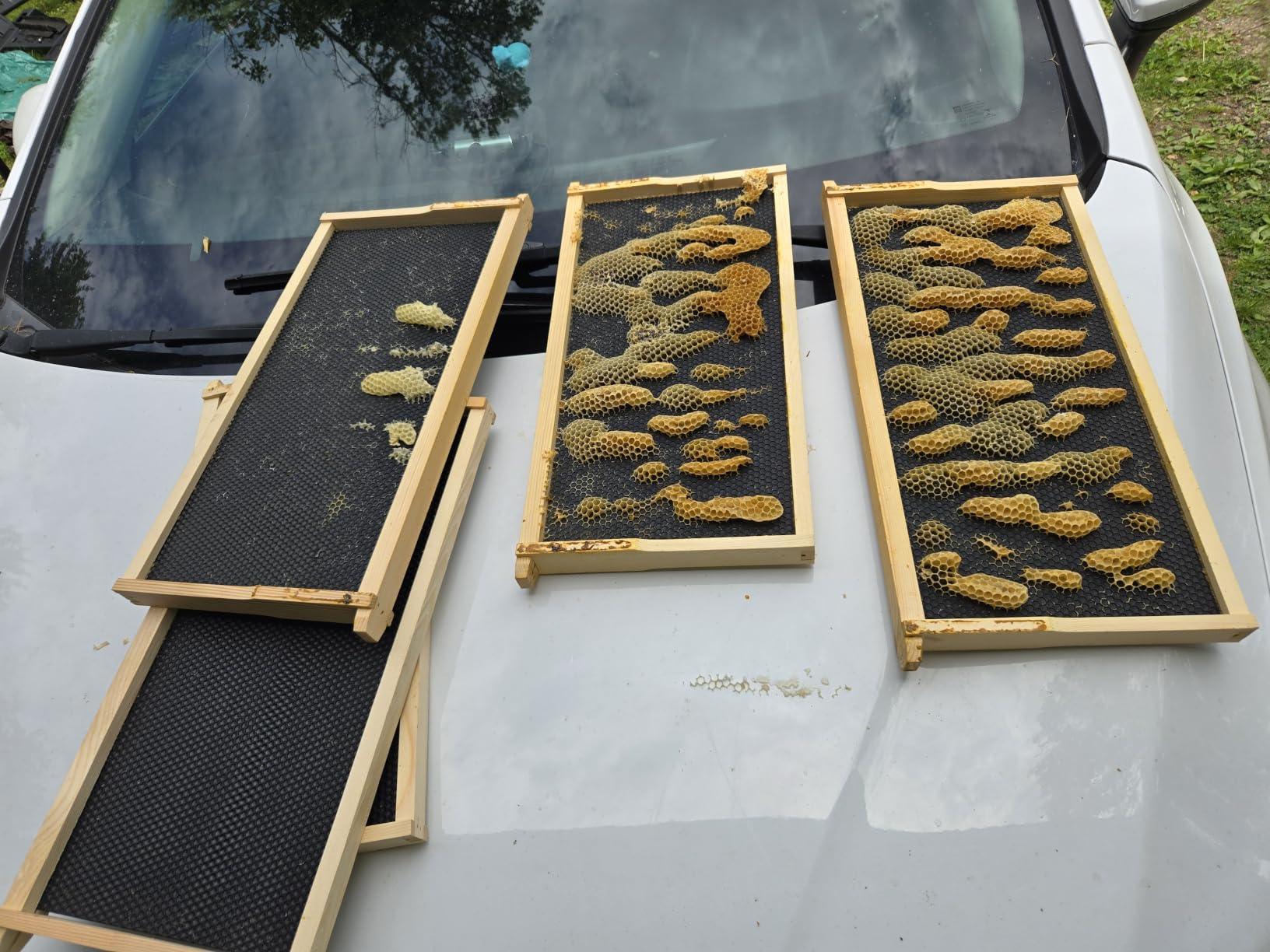 BeeCastle 10 Frame Langstroth Bee Hive Coated with Beeswax Includes Beehive Frames and Waxed Foundations (2 Deep Boxes & 1 Medium Box) customer photo 1