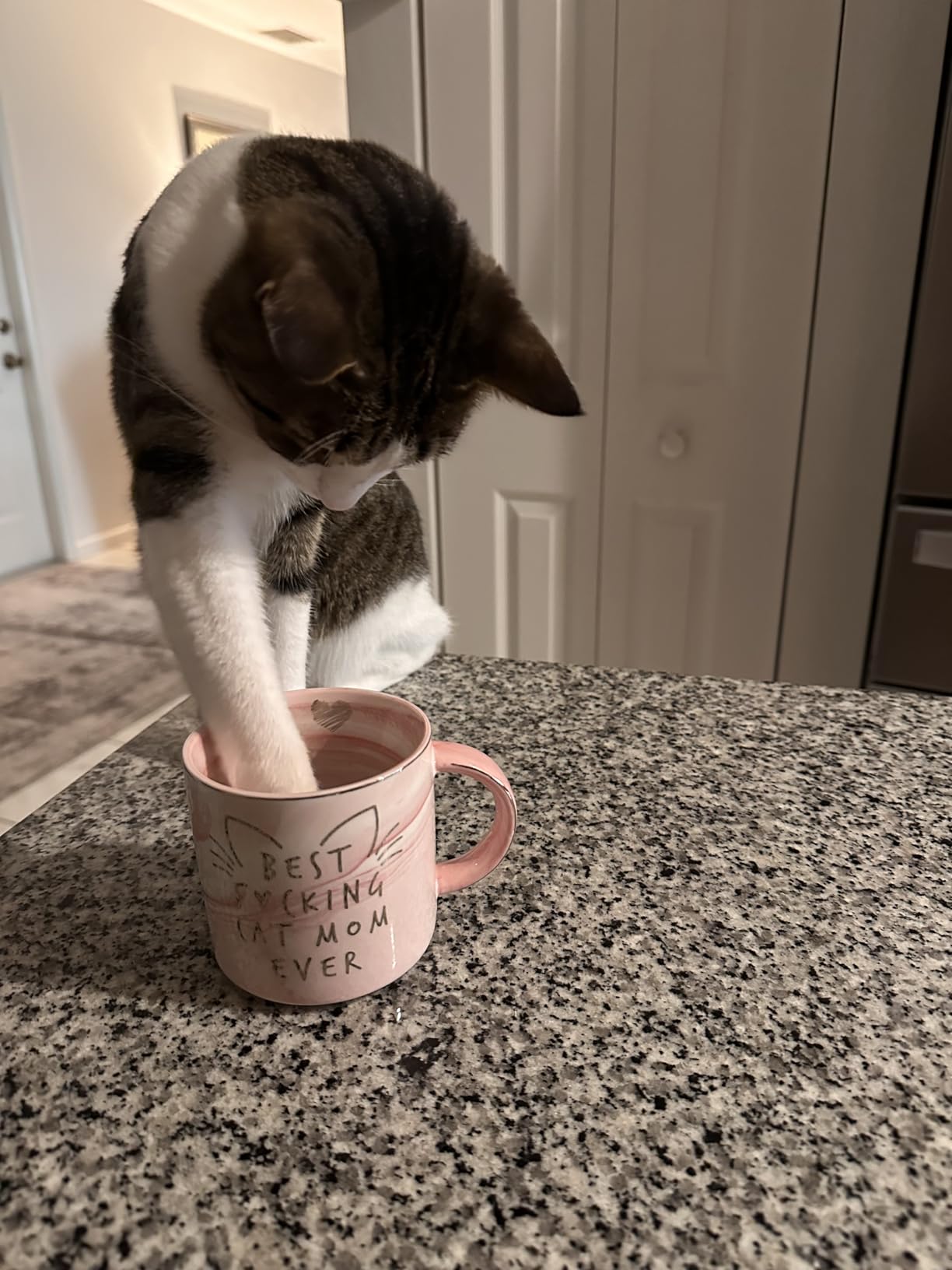 Cat Mom Gifts for Women - Crazy Cat Lady Coffee Mug Gift for Kitten Lover Mom, Daughter, Sister, Aunt, Wife, Best Friends, BFF, Coworkers, Her - Best Mom Ever - Pink Marble Mug, Ceramic 11.5oz Cup customer photo 1