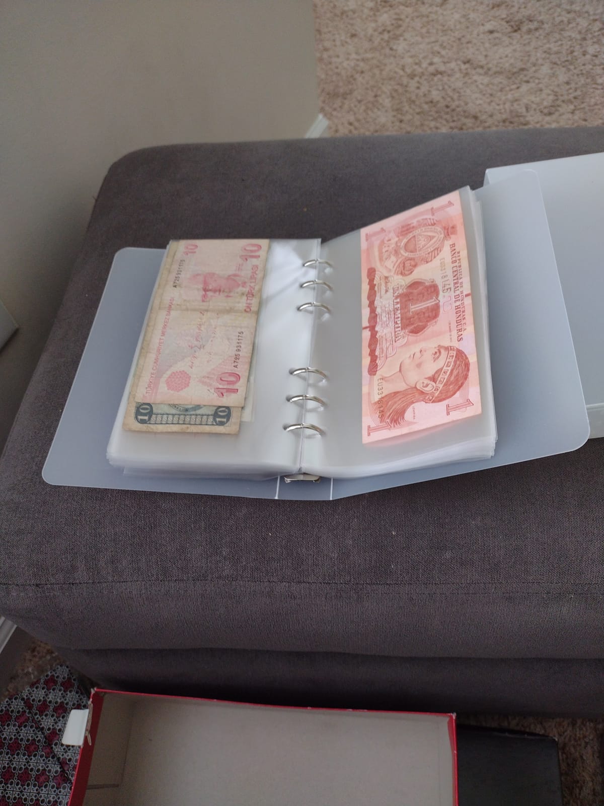 Ettonsun Thickened 100 Pocket Dollar Bill Holders for Collectors Paper Money Currency Storage Album Holder Collection Book Banknote Stamp Collecting Supplies, Small Size for Travel customer photo 2