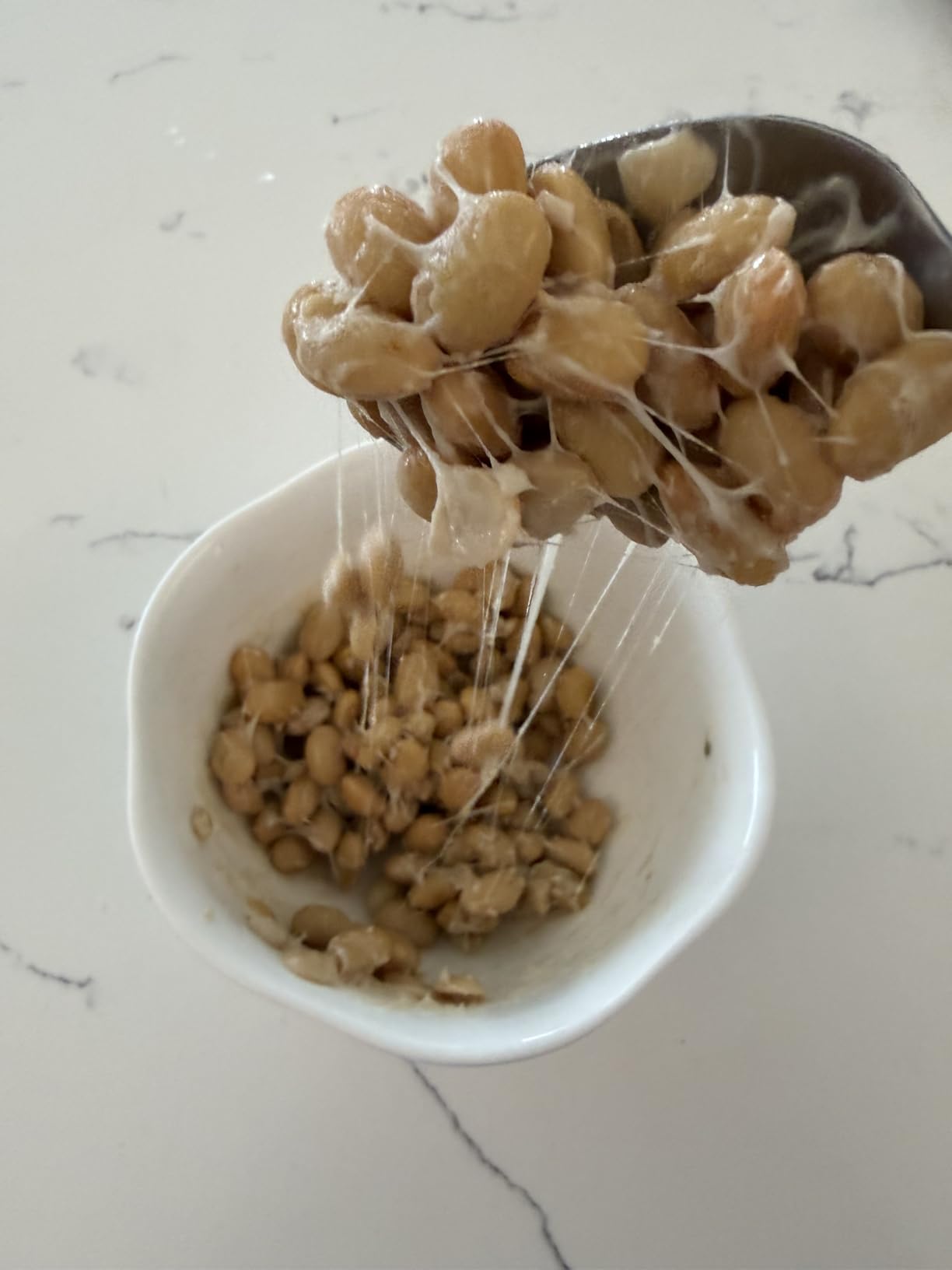 Kawashimaya Natto Starter Spores Powder 0.1oz (3g) for 22-66lbs Natto | Bacillus Subtilis from Soybean Extract to Make Homemade Natto customer photo 1