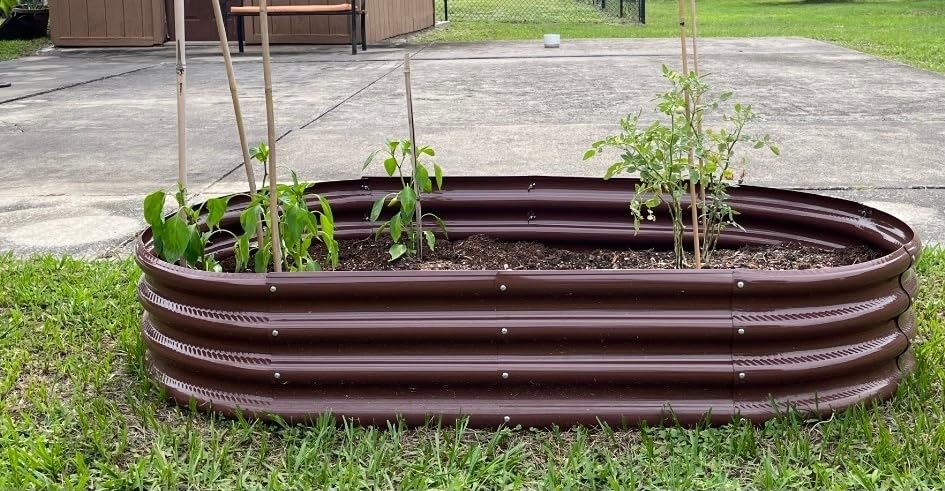 Rakukiri Raised Garden Bed GRS Certified Galvanized Planter Box Outdoor, 5ft Oval Rot-Resistant Metal Garden Bed Planter, Recycled Material Planter for Vegetables Flowers Herbs (Silver) customer photo 2