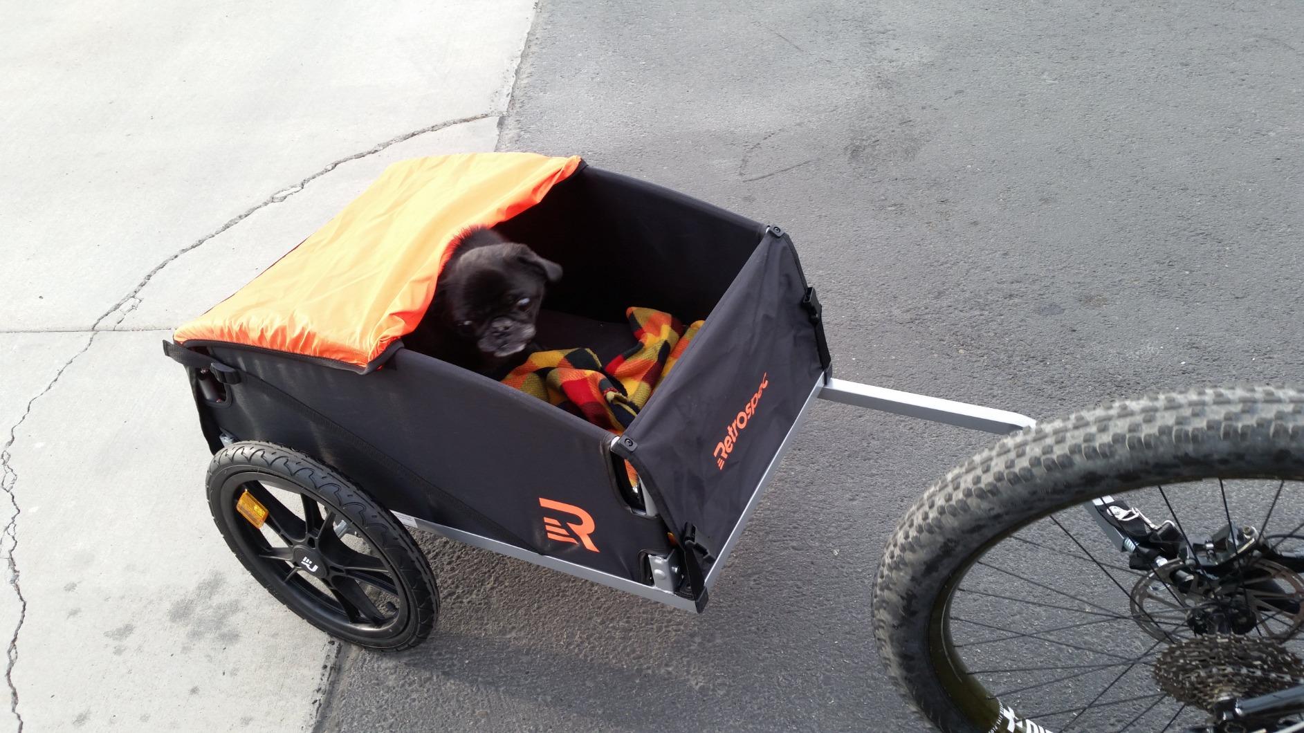 Retrospec Rover Hauler Bike Cargo Trailer - Foldable Frame with Weather-Resistant Fabric & 80lb Capacity - Universal Bike Trailer for 20-29in Wheels - Includes Safety Flag & D-Ring Anchors customer photo 1