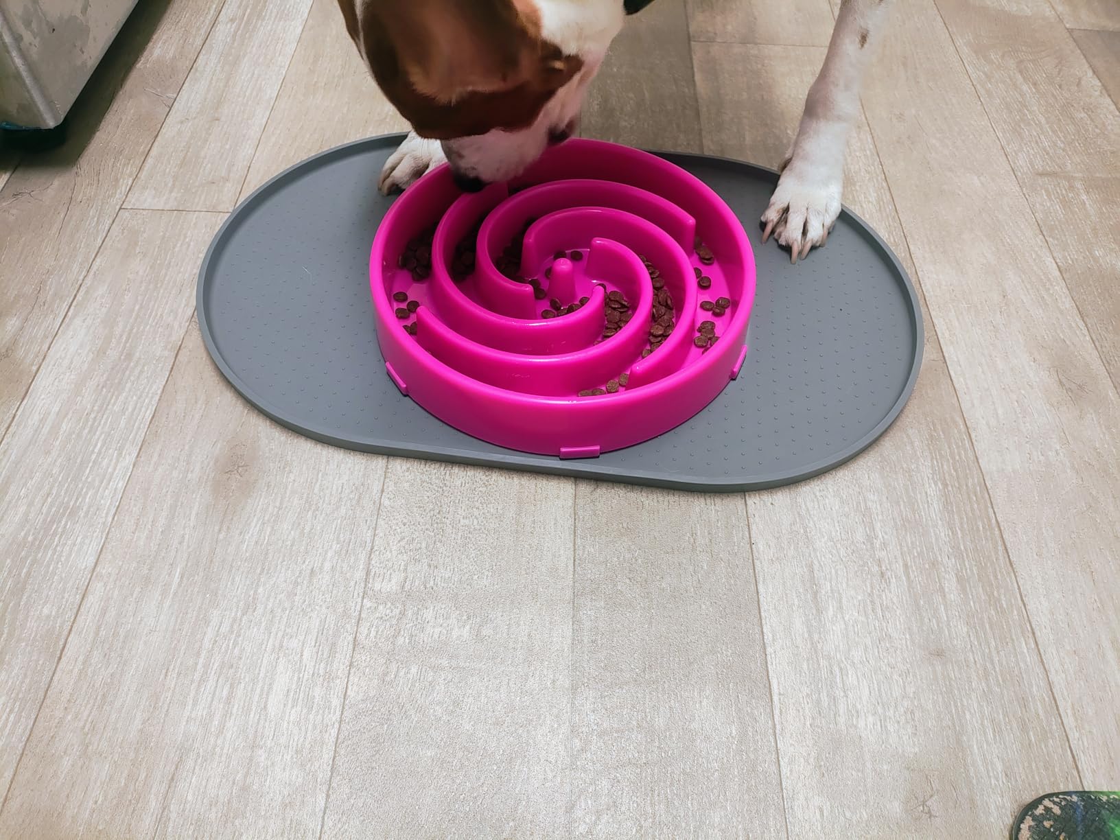 JASGOOD Slow Feeder Dogs Bowl for Large Medium Dogs, Anti-Gulping Pet Slower Food Feeding Bowls Stop Bloat, Preventing Choking customer photo 2