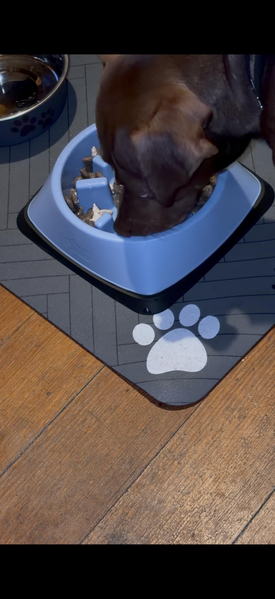 GORILLA GRIP Patented Slow Feeder Dog and Cat Bowl, BPA Free, 2 Cup Gray | Interactive Puzzle Toy for Food Training Enrichment, Keeps Pets Busy and Prevents Puppy Overeating, All Breeds customer photo 1