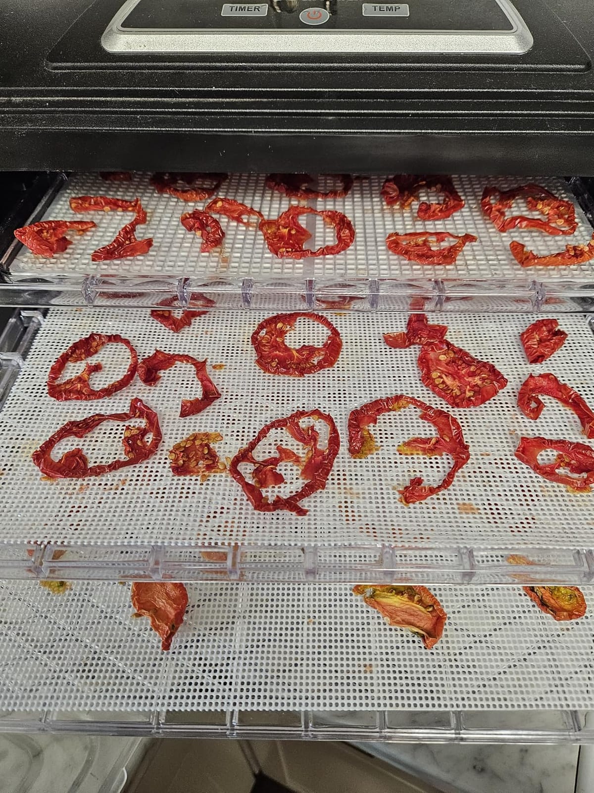 Silicone Dehydrator Sheets 14x14 Inch (12 Pack) - Reusable Non-Stick Mesh Dehydrator Mats, BPA-Free Food-Grade Tray Liners, Cut-to-Fit Dehydrator Accessories for Jerky, Fruit & Herbs by Lova customer photo 1
