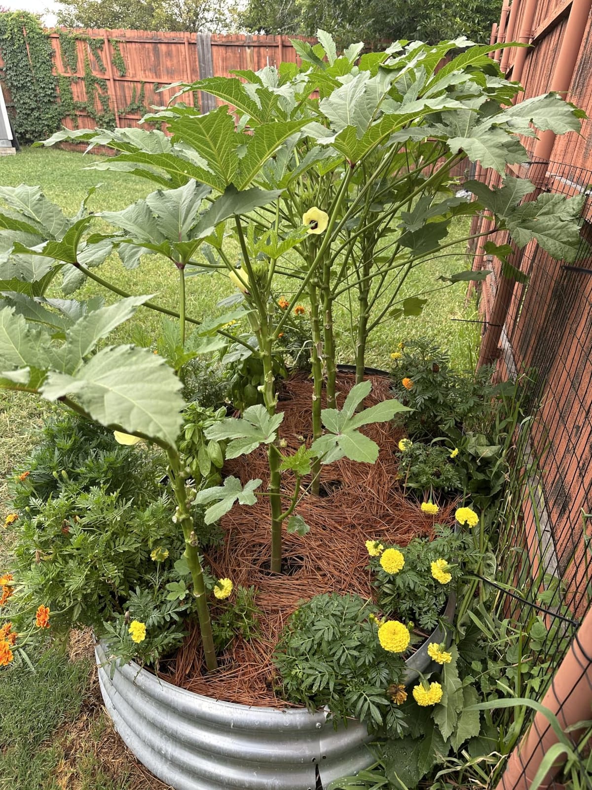 Land Guard Galvanized Raised Garden Bed Kit, Galvanized Planter Garden Boxes Outdoor, Oval Large Metal Raised Garden Beds for Vegetables………… customer photo 2