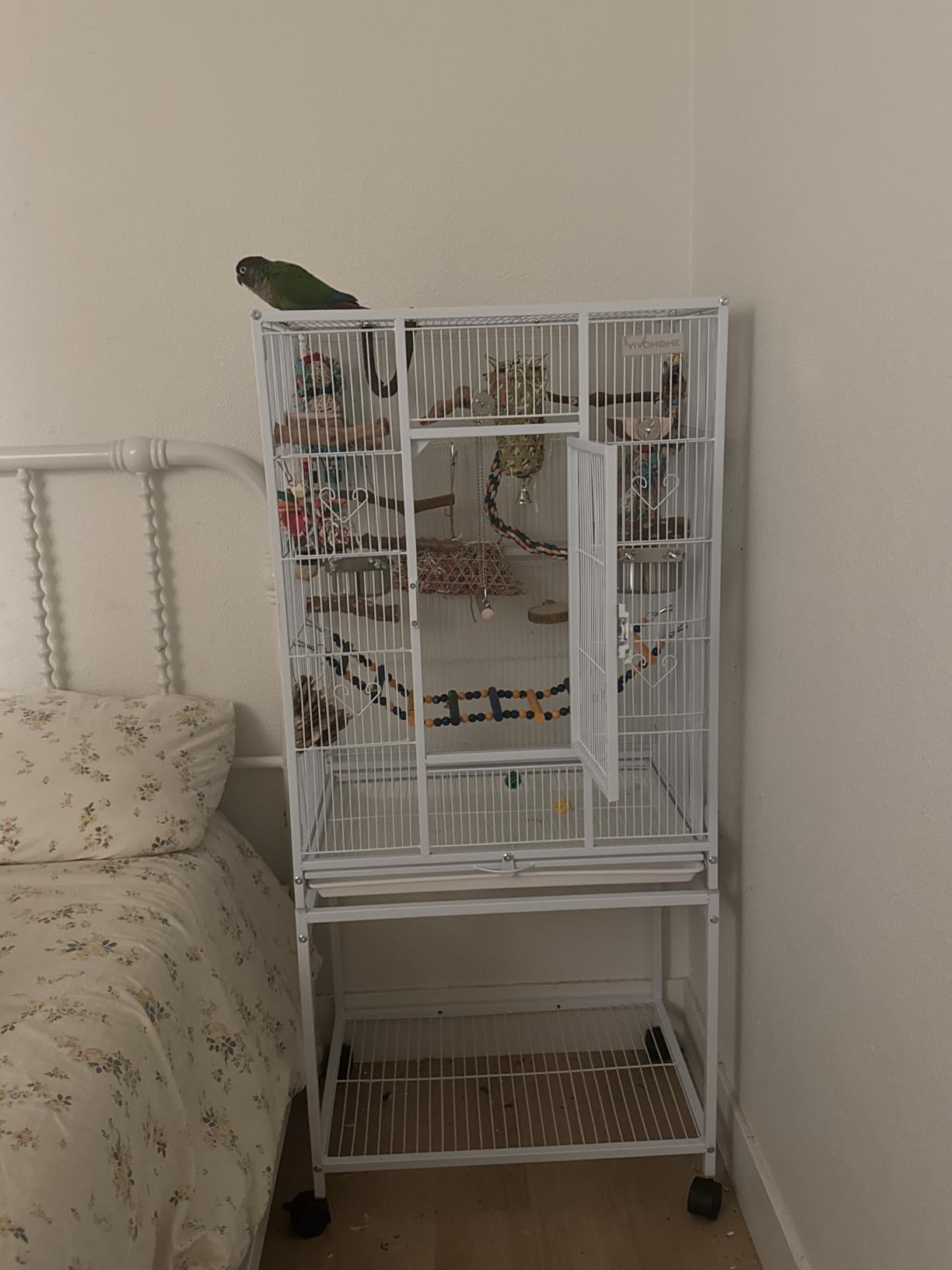VIVOHOME 54 Inch Wrought Iron Large Bird Cage with Rolling Stand customer photo 2
