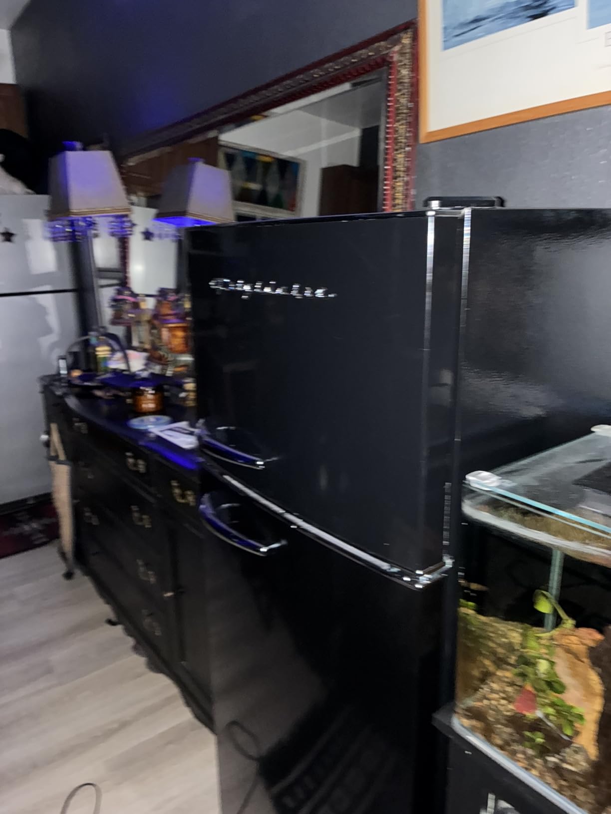 Frigidaire EFR786 Retro Apartment Size Refrigerator with Top Freezer - 2 Door Fridge with 7.5 Cu Ft of Storage Capacity, Adjustable Spill-Proof Shelves, Door & Crisper Bins, Black customer photo 1