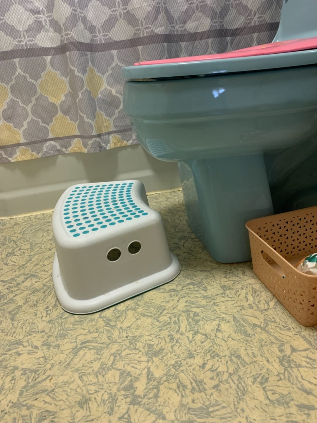 Dreambaby Toddler & Me Step Stool Potty Seat Training Aid with Anti-Slip Sure-Grip Steps, Holds up to 320 lbs for Kids & Adults, Grey customer photo 1