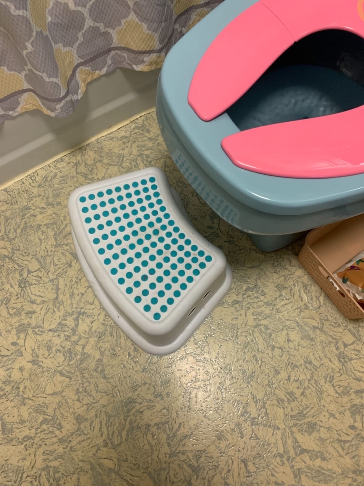 Dreambaby Toddler & Me Step Stool Potty Seat Training Aid with Anti-Slip Sure-Grip Steps, Holds up to 320 lbs for Kids & Adults, Grey customer photo 2