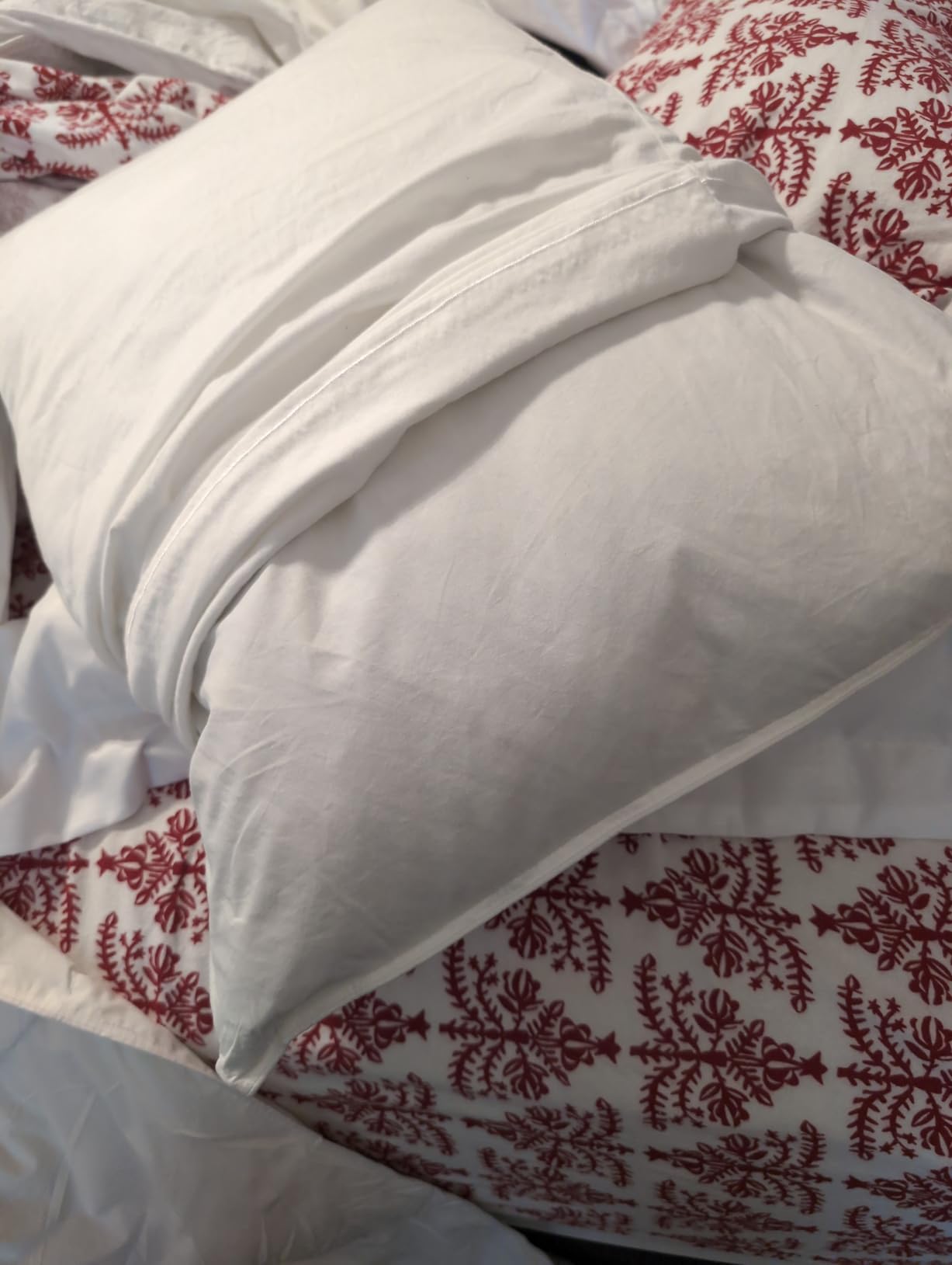 JA COMFORTS Goose Feather Down Bed Pillows for Sleeping(2 Packs)-Standard/Queen,High Fill Weight,Double-Layer Downproof Fabric Design,Goose Down Filling,600 Thread Count,Cotton Cover customer photo 1