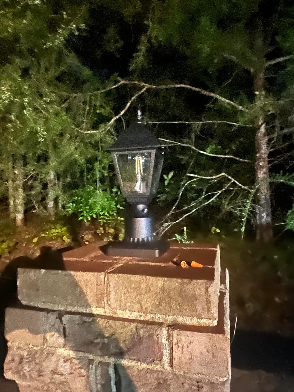 Dusk to Dawn Outdoor Post Lights, Waterproof Post Lamps with Pier Mount customer photo 1