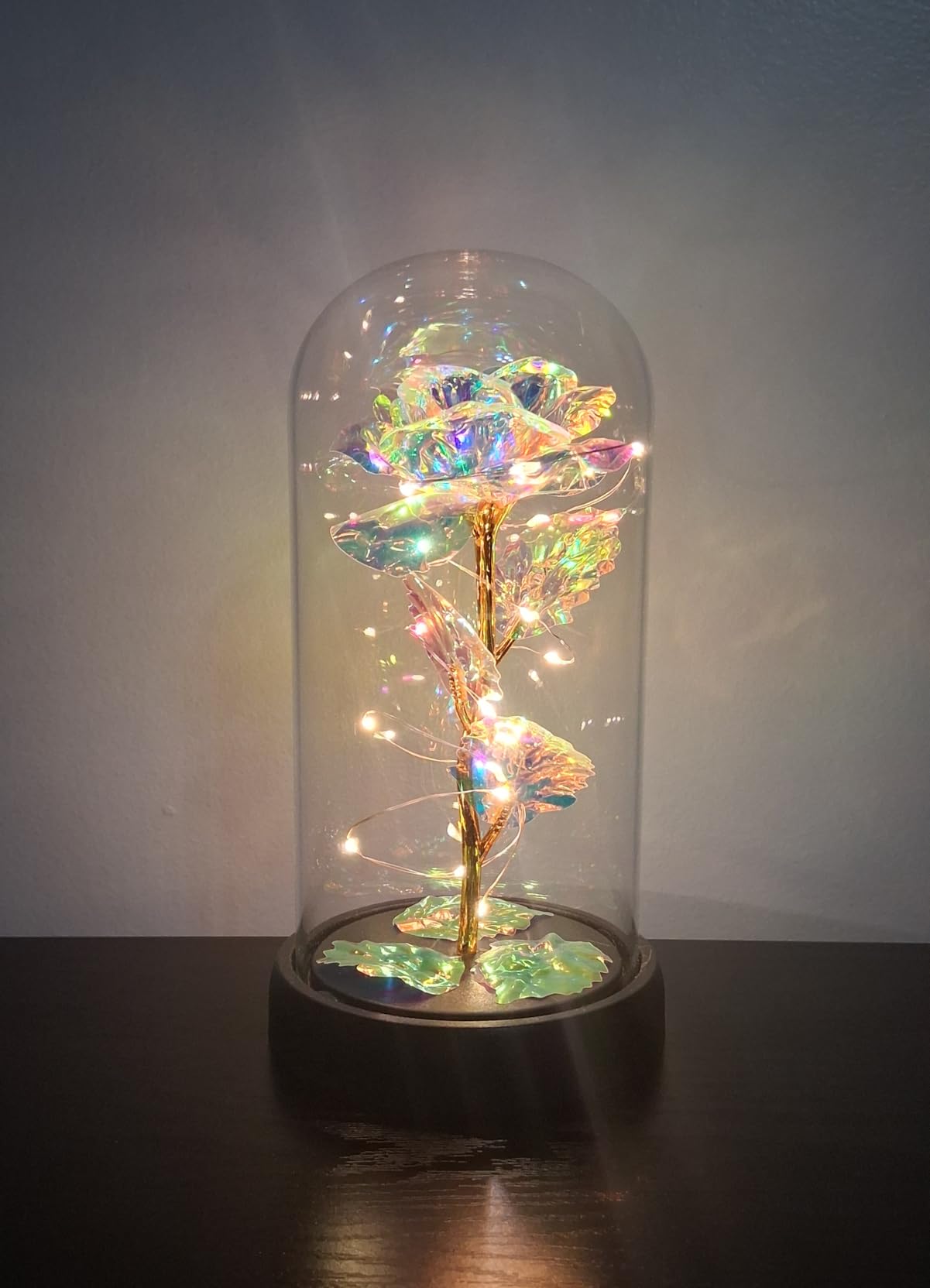 Otlonpe Forever Artificial Glass Rose Flower Lamp, Women Gifts for Birthday Christmas Valentines Mothers Day, Home Decor, Preserved 7.7'' Rose Gifts for Mom Grandma Daughter Wife Girlfriend (Rainbow) customer photo 1