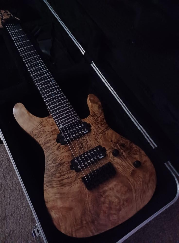 DIY 8 String Electric Guitar Kits Burl poplar veener top okoume Body maple neck & composite ebony fingerboard You Build The Guitar customer photo 1