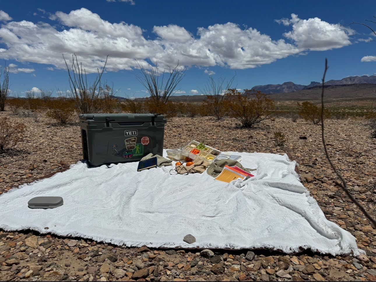 Tiny Land Picnic Blankets, 2 in1 Double Layer Waterproof Mat + Blanket customer photo 1