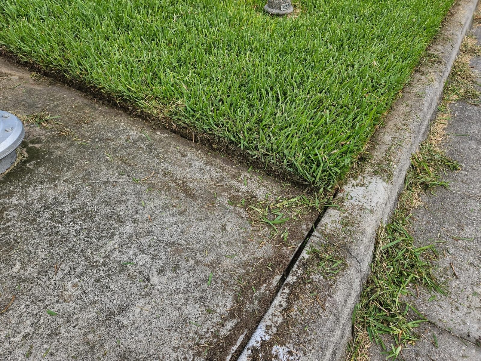 Greenworks 40V 8 in Cordless Electric Lawn Edger, 4.0 Ah Battery, Charger customer photo 1