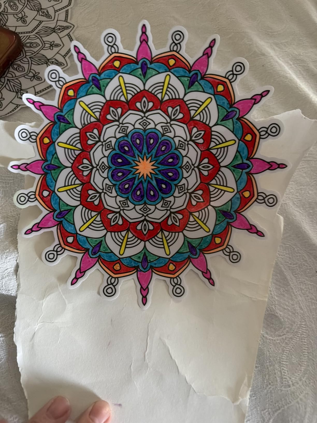 Hula Home Stained Glass Mandala Art Kit - DIY Window Clings with Markers, 10 Suncatchers - Perfect Hobby for Adults, Kids, Teens & Seniors - Ideal Gift for Beginners, Women & Elderly customer photo 1