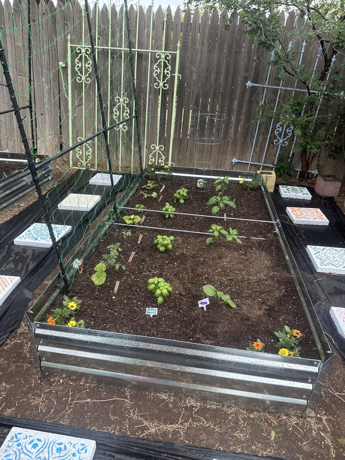 2-Pack Galvanized Raised Garden Bed 8x4x1ft customer photo 1
