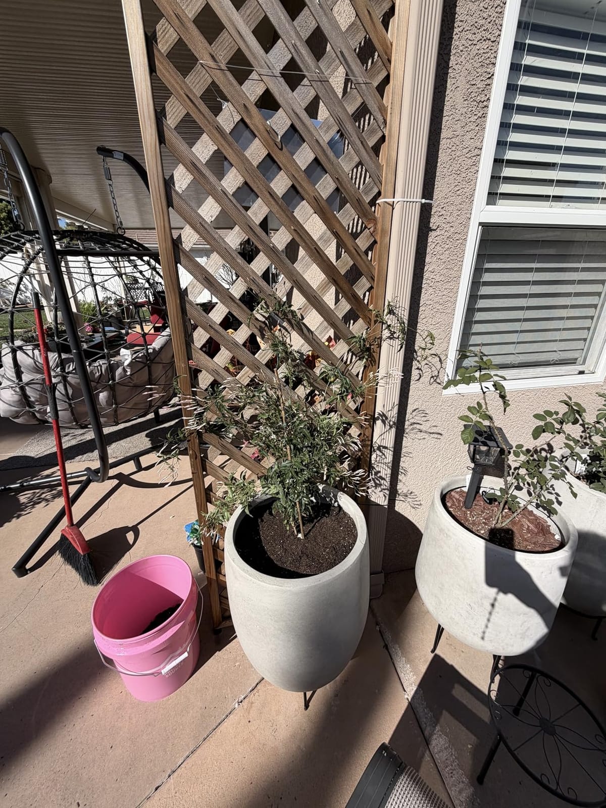 Kante Tall Concrete Planter, 21.7