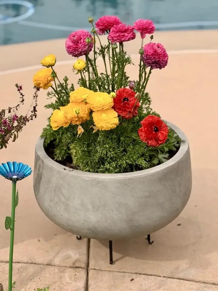 Kante Tall Concrete Planter, 21.7