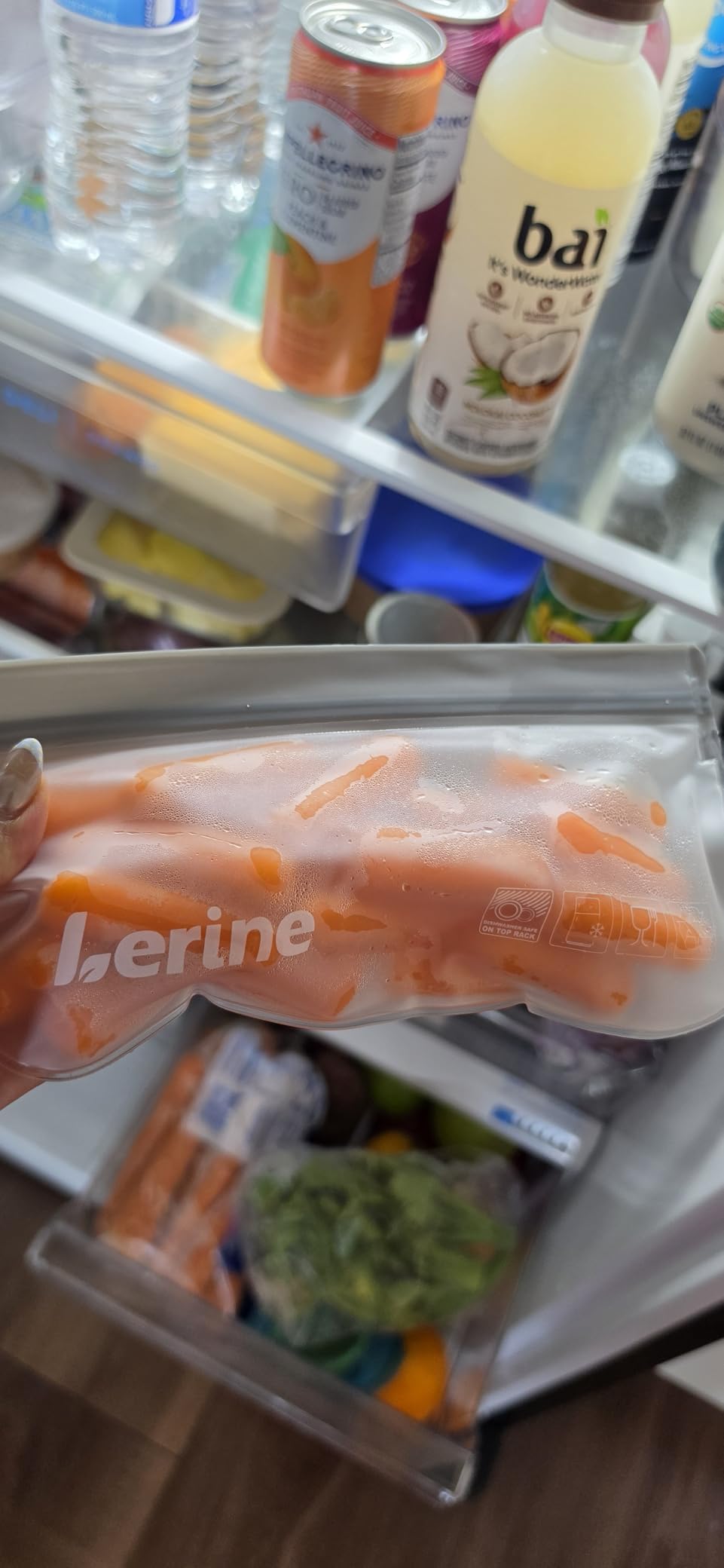 Lerine 10 Pack Reusable Freezer Bags Dishwasher Safe, Food Storage Bags customer photo 1