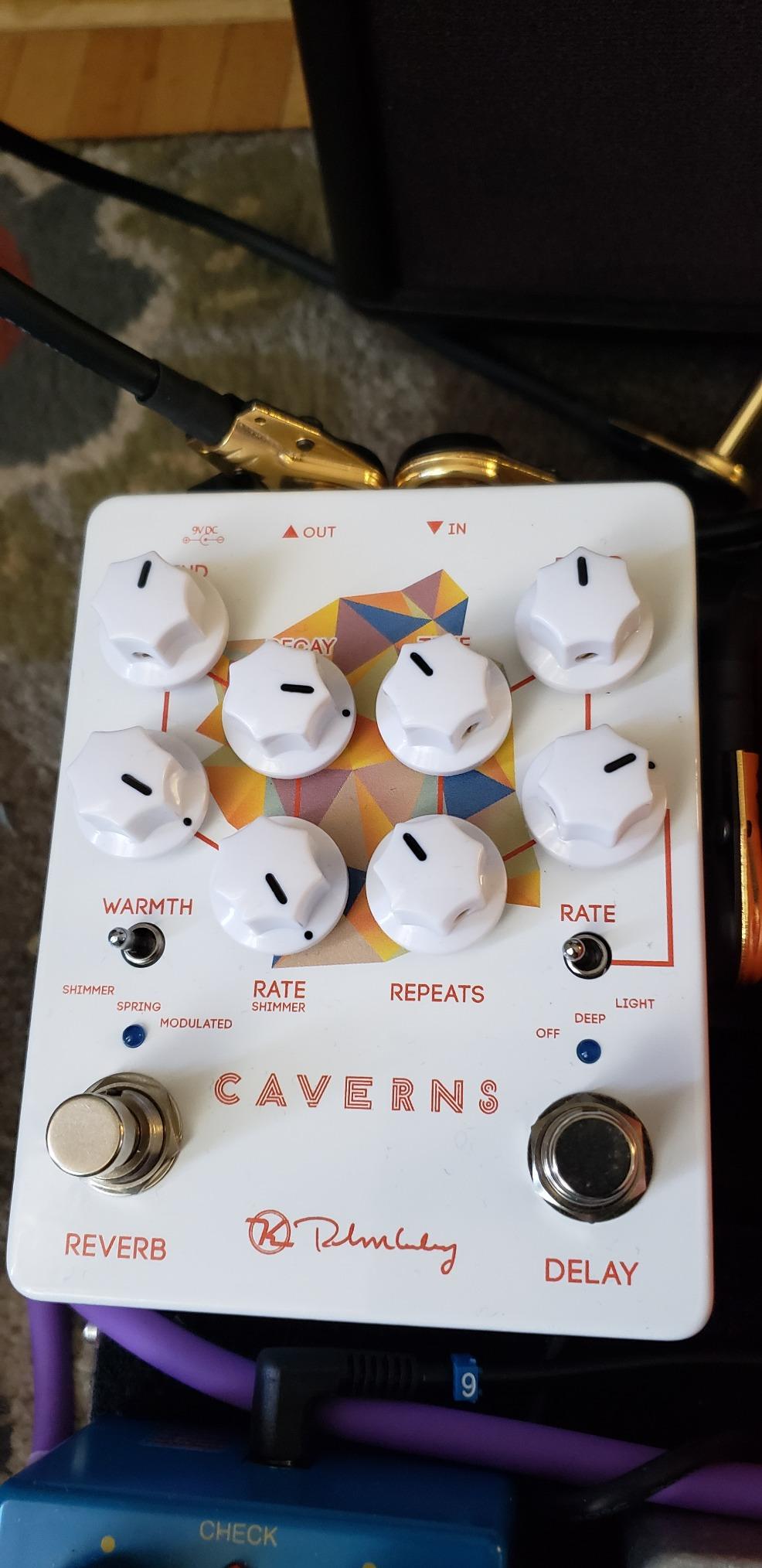 Keeley Halo Andy Timmons Dual Echo customer photo 2