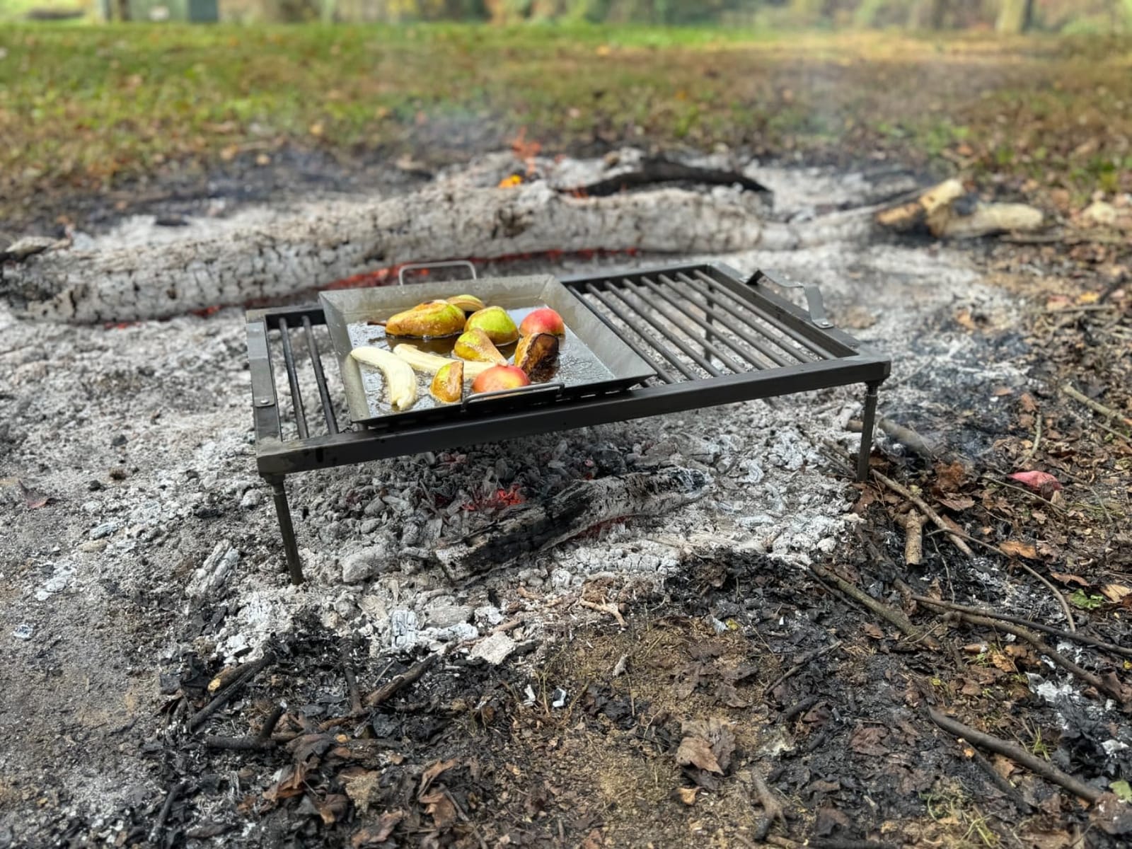 Argentine Santa Maria Grill with Tools, Brasero, Plancha - Hickory Summit customer photo 1