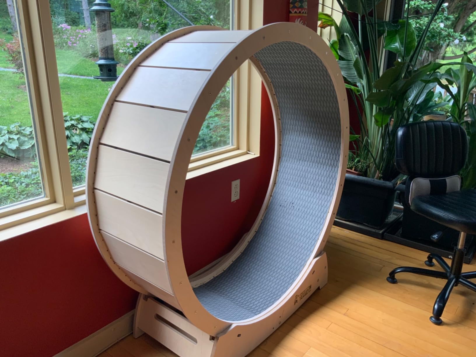 Star Cat Wheel, Cat Treadmill, Exercise Wheel for Running, Spinning, Scratching, and Climbing for Indoor Cats, Premium Birch Wood, Eco-Friendly, Moving Fish, Wide Running Track, 47.2 inch XL Size customer photo 1