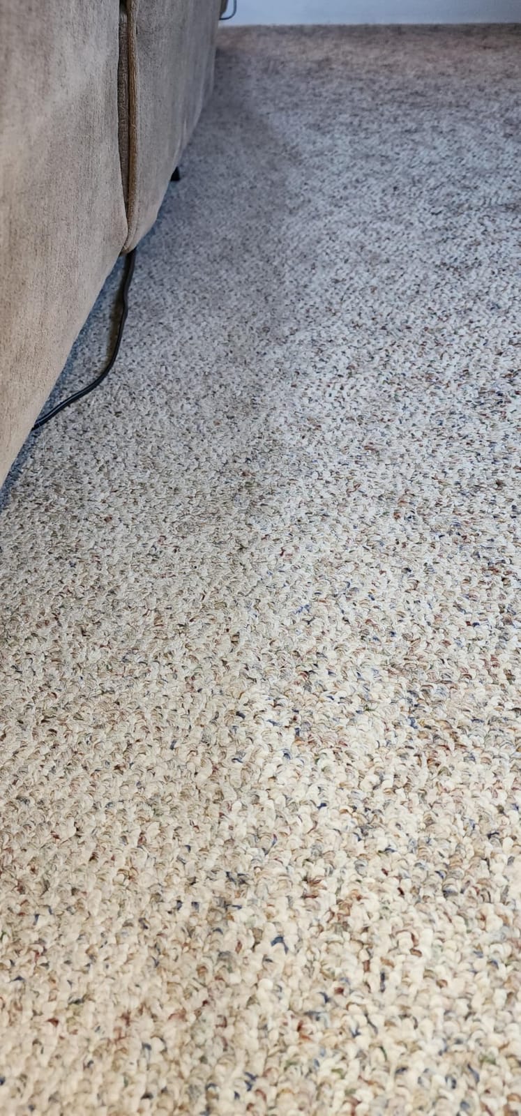 BISSELL ProHeat 2X Revolution Pet Turbo Upright Carpet Cleaner, 35799 customer photo 2