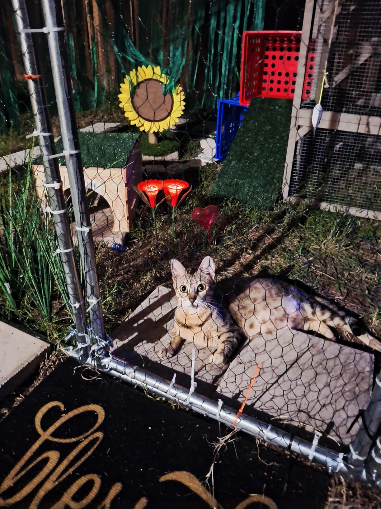 Large Metal Chicken Coop Round Top Upgrade Tri-Supporting Wire Mesh Chicken Run,Chicken Pen with Water-Resident and Anti-UV Cover,Duck Rabbit House Outdoor(19'L x 9'W x 6.5'H) customer photo 1