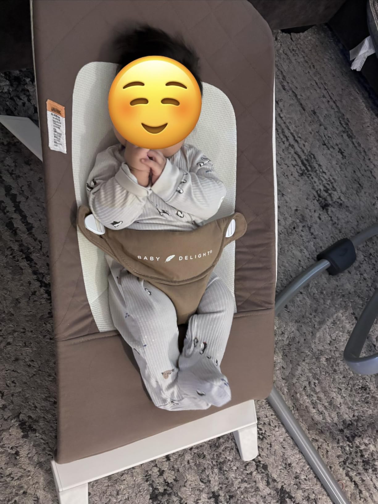 Baby Delight Alpine Wave Deluxe Infant Swing, Driftwood Grey customer photo 1
