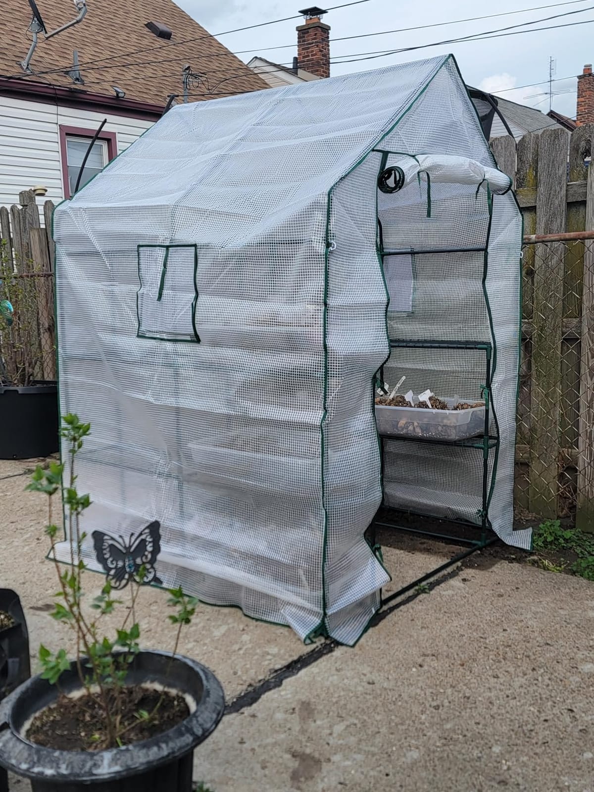 56x55x78 Walk-in Greenhouse for Outdoors, 3-Tier Plant House with 8 Shelves customer photo 1
