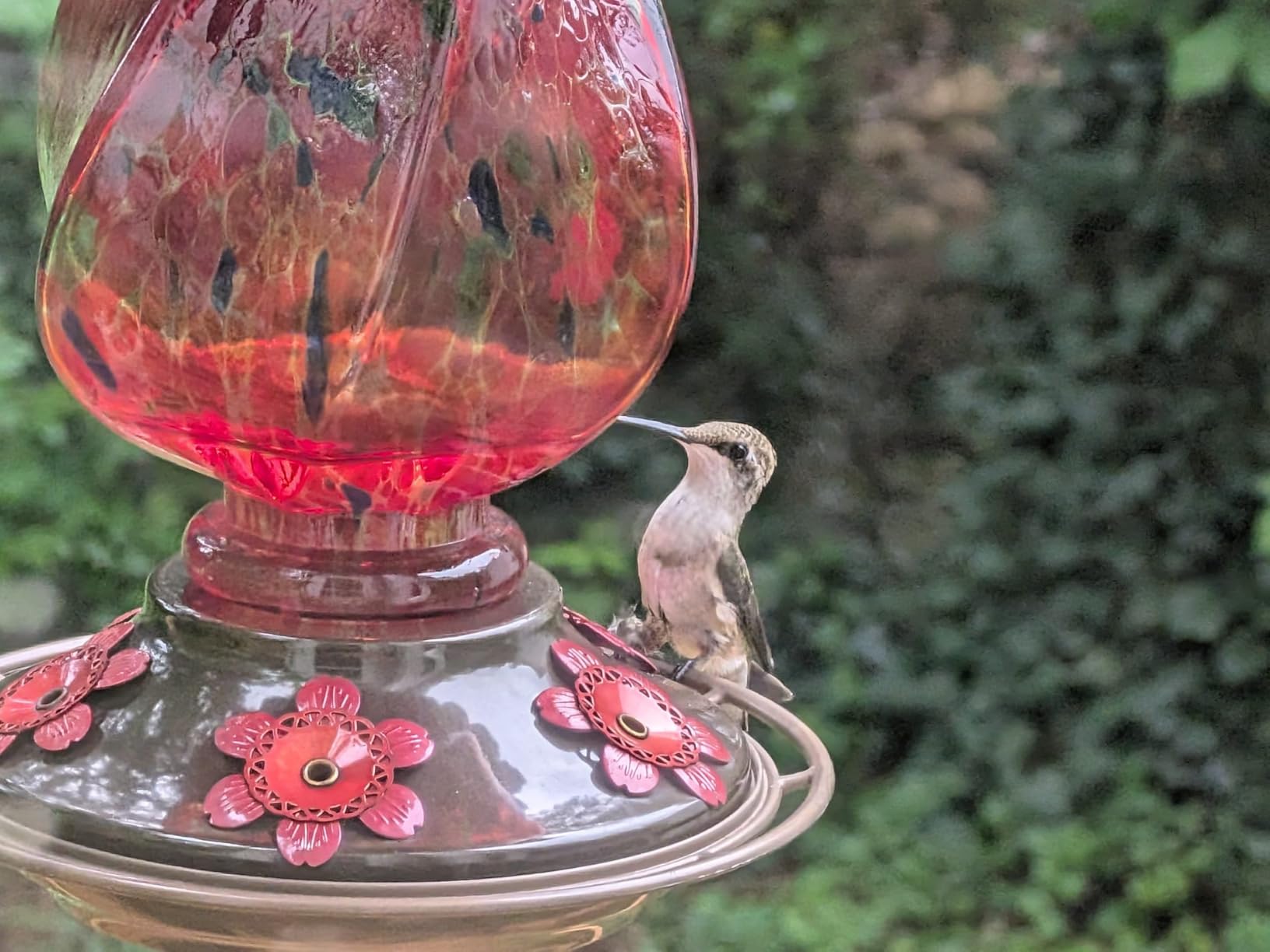 BOLITE Hummingbird Feeders for Outdoors Hanging, Hand Blown, Blue, 22oz customer photo 1