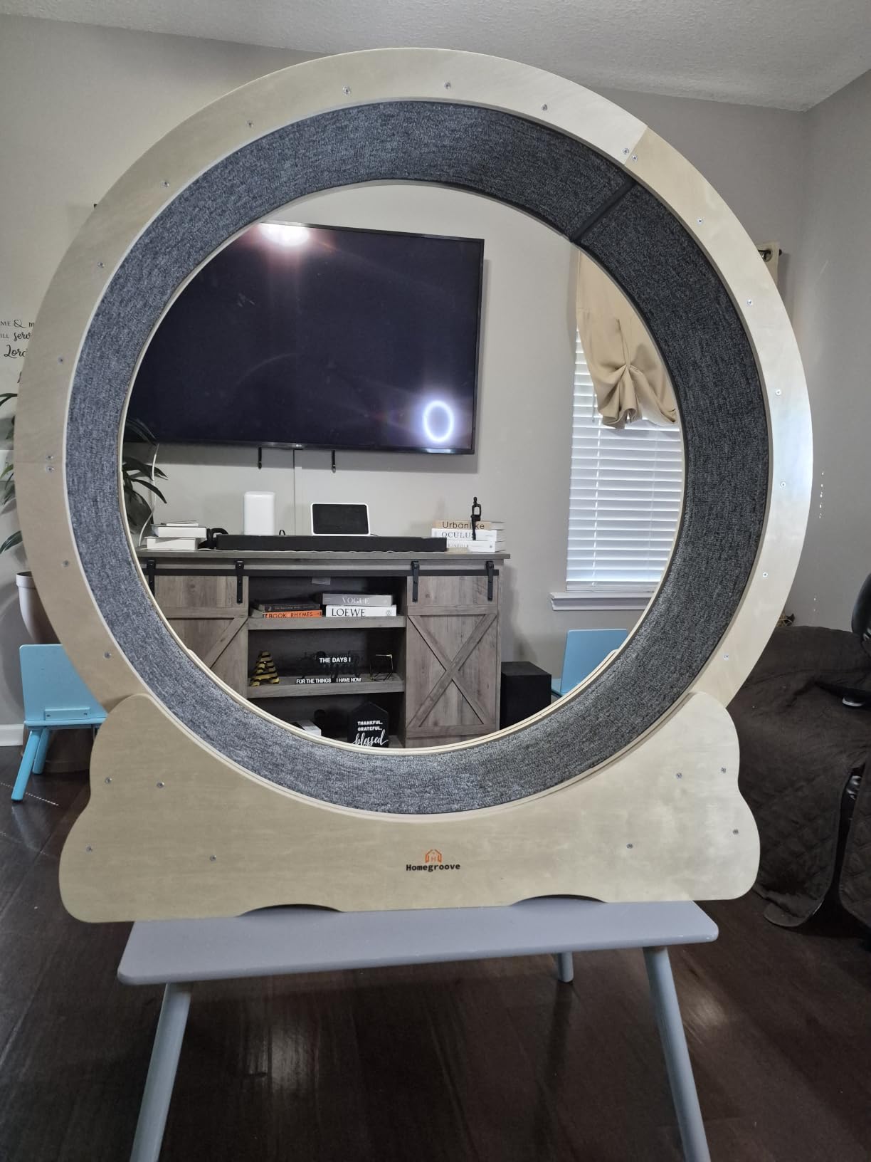 Homegroove Cat Exercise Wheel for Indoor Cats, 46 Inch | Large XL Cat Running Treadmill Wheel with Carpeted Runway for Kitty's Longer Life, Natural Wood Color (XL) customer photo 1