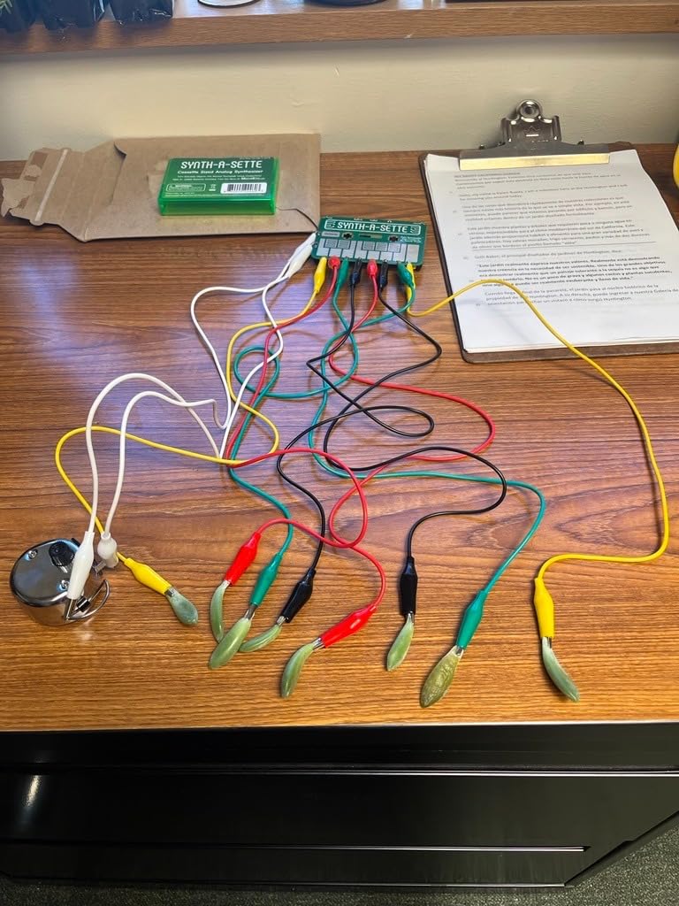 MicroKits Synth-a-Sette: The Original Cassette Sized Analog Synthesizer | Play Melodies On The Go With This Pocket Synth Or Create Your Own Banana Keyboard Using Conductivity customer photo 1
