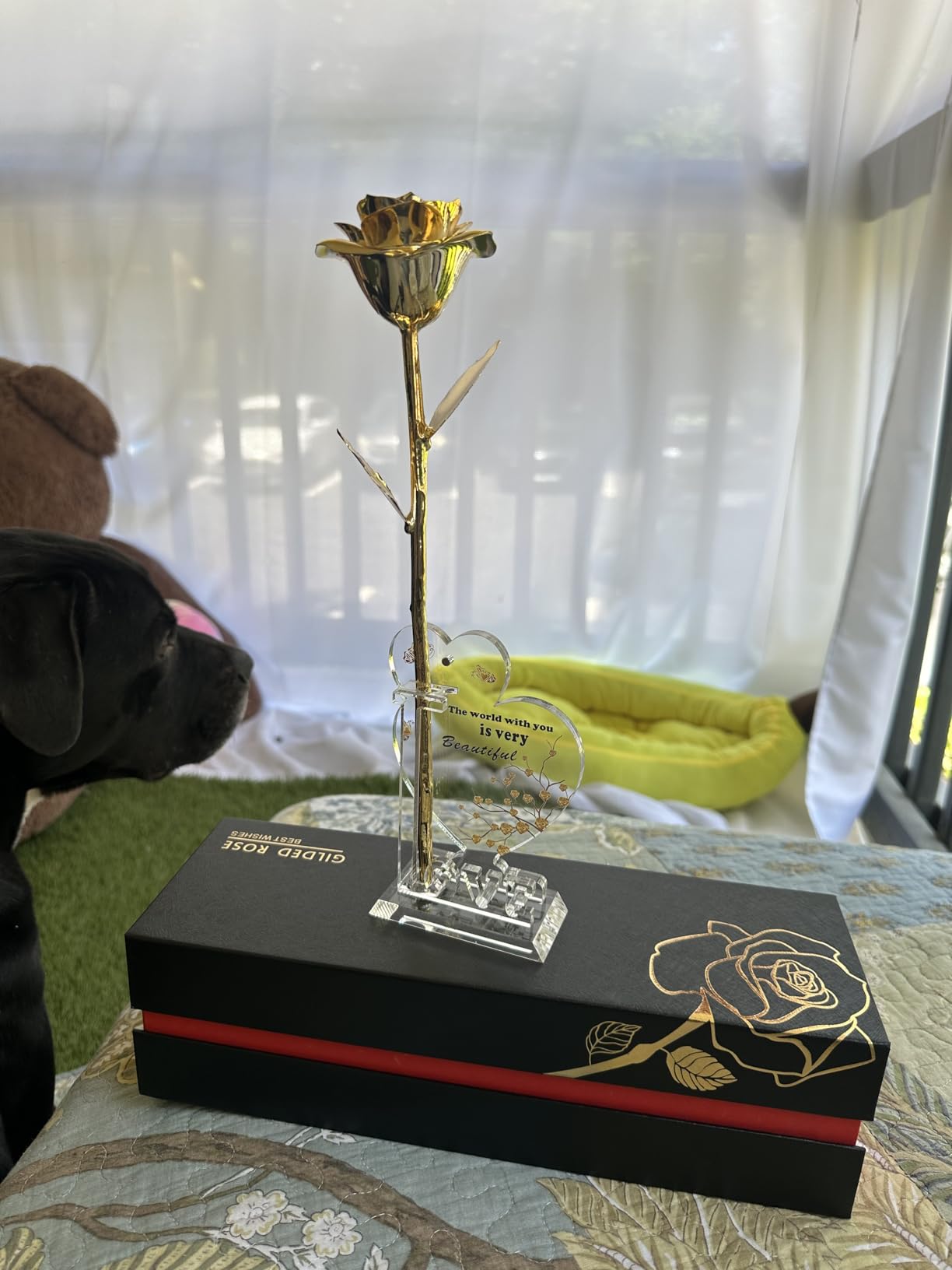 Anthonic Gold Dipped Rose Real 24K Gold Rose, Genuine One of a Kind Rose Hand Dipped in 24K Golden Roses Romantic Gifts for Women in Her Birthday Anniversary Valentines Day Mothers Day customer photo 1