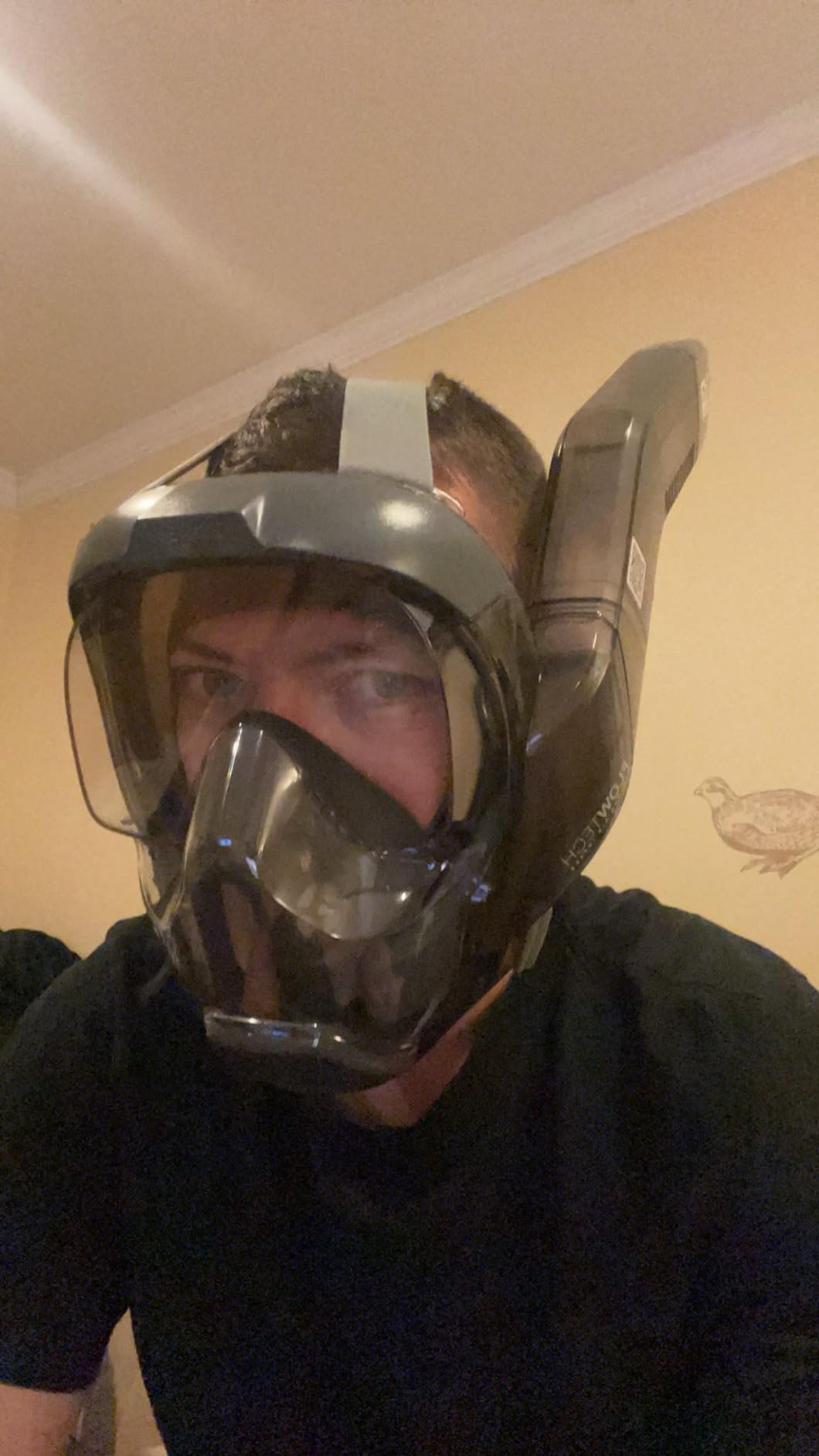 Seaview 180 V3 Full Face Snorkel Mask - Snorkeling Gear for Adults customer photo 1