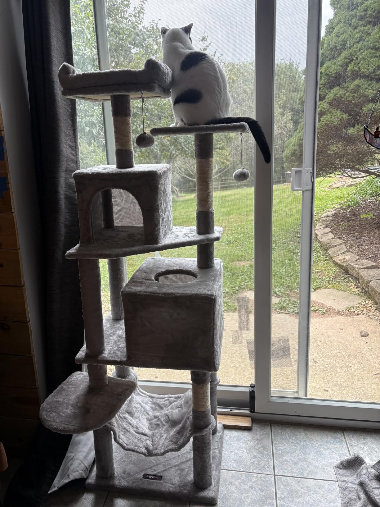 Feandrea Cat Tree, 59.5-Inch Tall Cat Tower, Multi-Level Condo, Beige customer photo 1