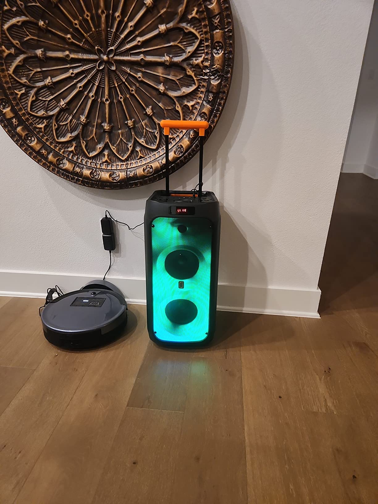 Karaoke Machine for Adults, 2 Mics, Dual 6.5