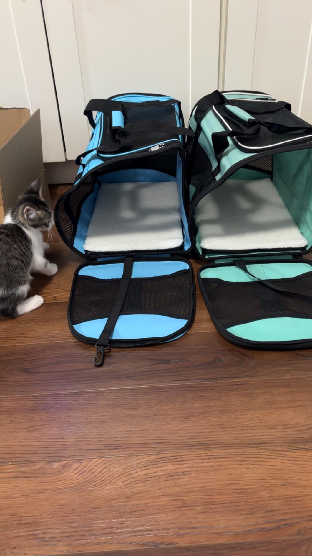 Cat Dog Carriers Soft-Sided Pet Carrier Large Cats for Medium Big Cat Small Dog Puppy up to 16lbs TSA Airline Approved Animal Collapsible Cat Carrier Carriers Travel Carrier Cat Bag (17x11x11) customer photo 2