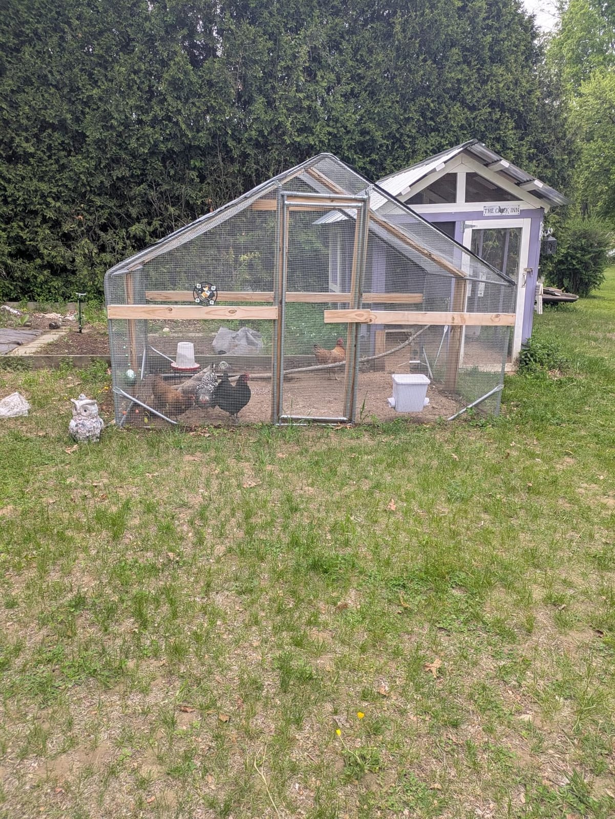 CHIKENCOOP 9.8 x 6.5 x 6.5 ft Metal Chicken Coop, Chicken Run with Cover customer photo 1