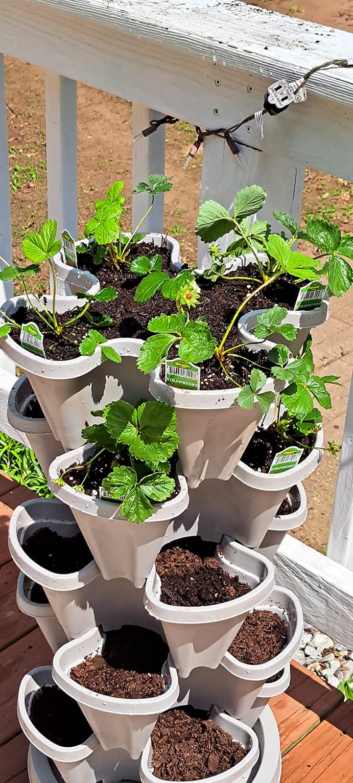 DUNCHATY Stackable Planters 7 Tier Vertical Garden Planting Tower Planters Strawberry, Herb, Flower, and Vegetable Planter Indoor Outdoor Gardening Pots with Removable Wheels and Tools customer photo 1