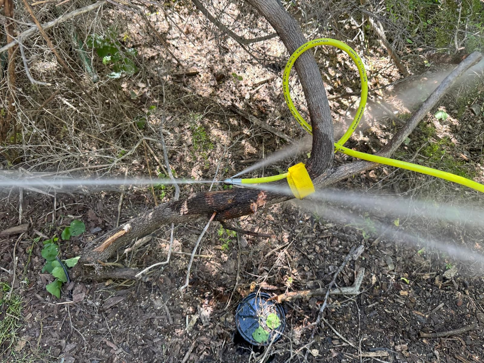 50 FT Sewer Jetter for Gas Pressure Washers - Flexible Steel Braid customer photo 1
