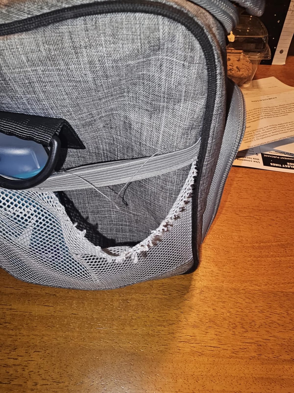 Amazon Basics Soft Insulated Cooler customer photo 2