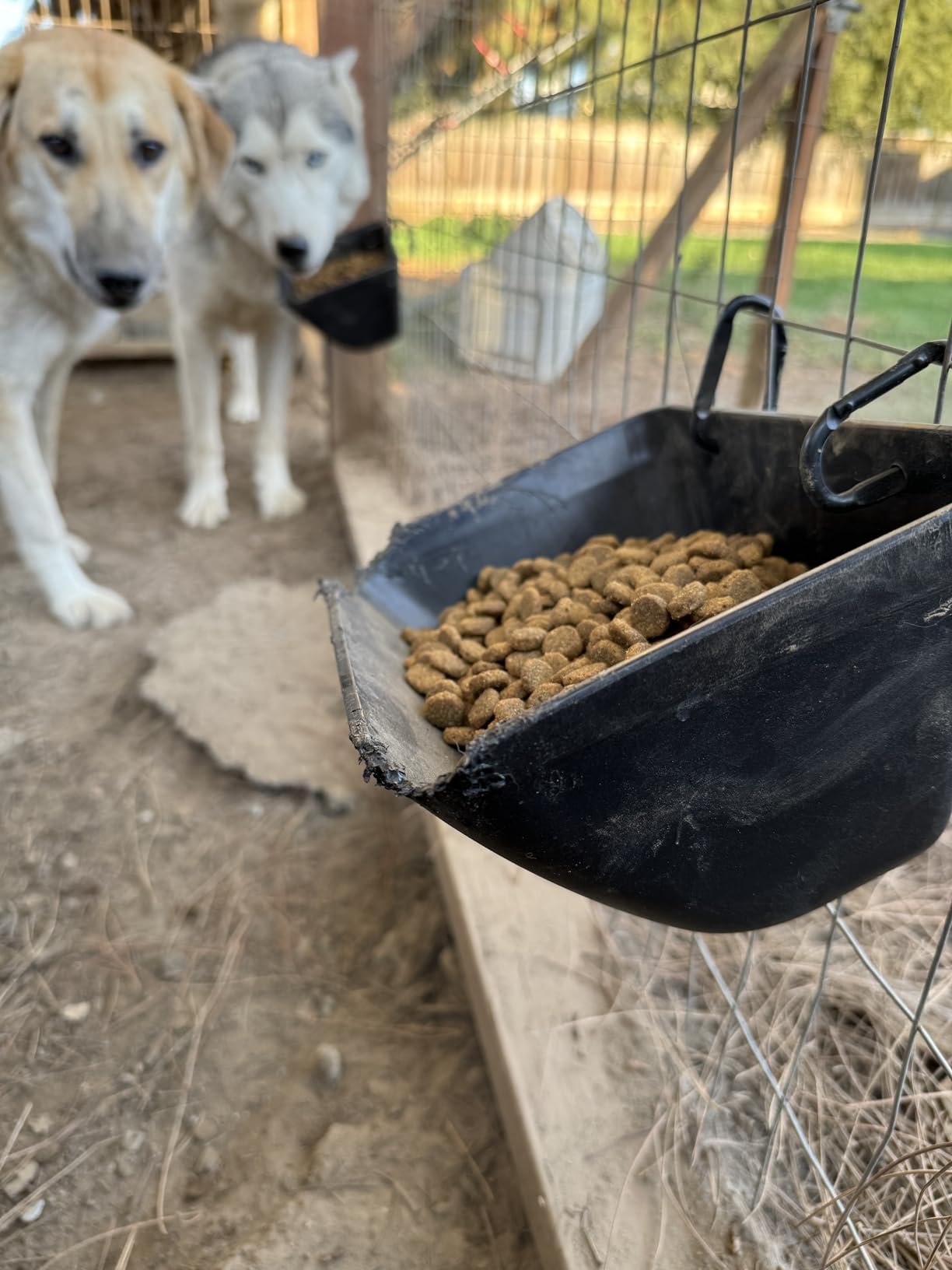 Hanging Chicken Feeder Trough for Goat Sheep Deer Poultry Duck Chicken Fence Feeder Livestock Feeding Container Goats Supplies Feeders Waterer Bucket customer photo 1