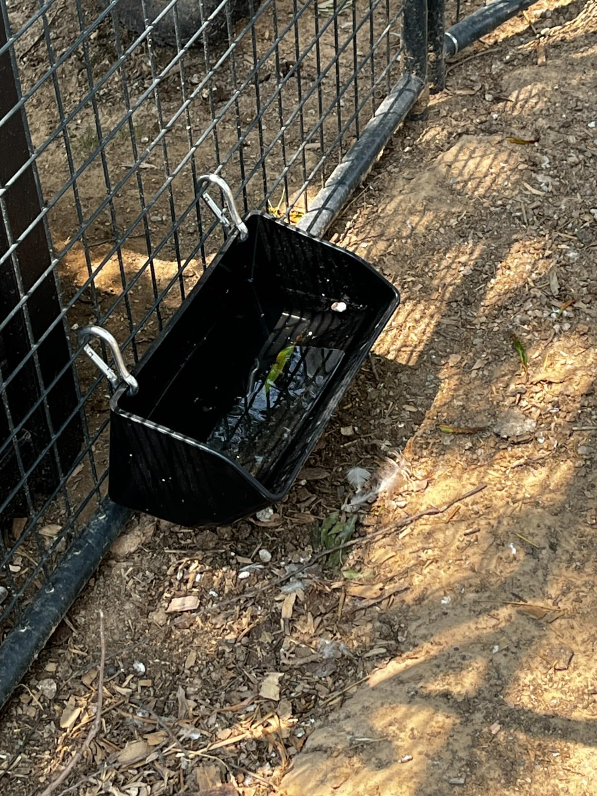Hanging Chicken Feeder Trough for Goat Sheep Deer Poultry Duck Chicken Fence Feeder Livestock Feeding Container Goats Supplies Feeders Waterer Bucket customer photo 2