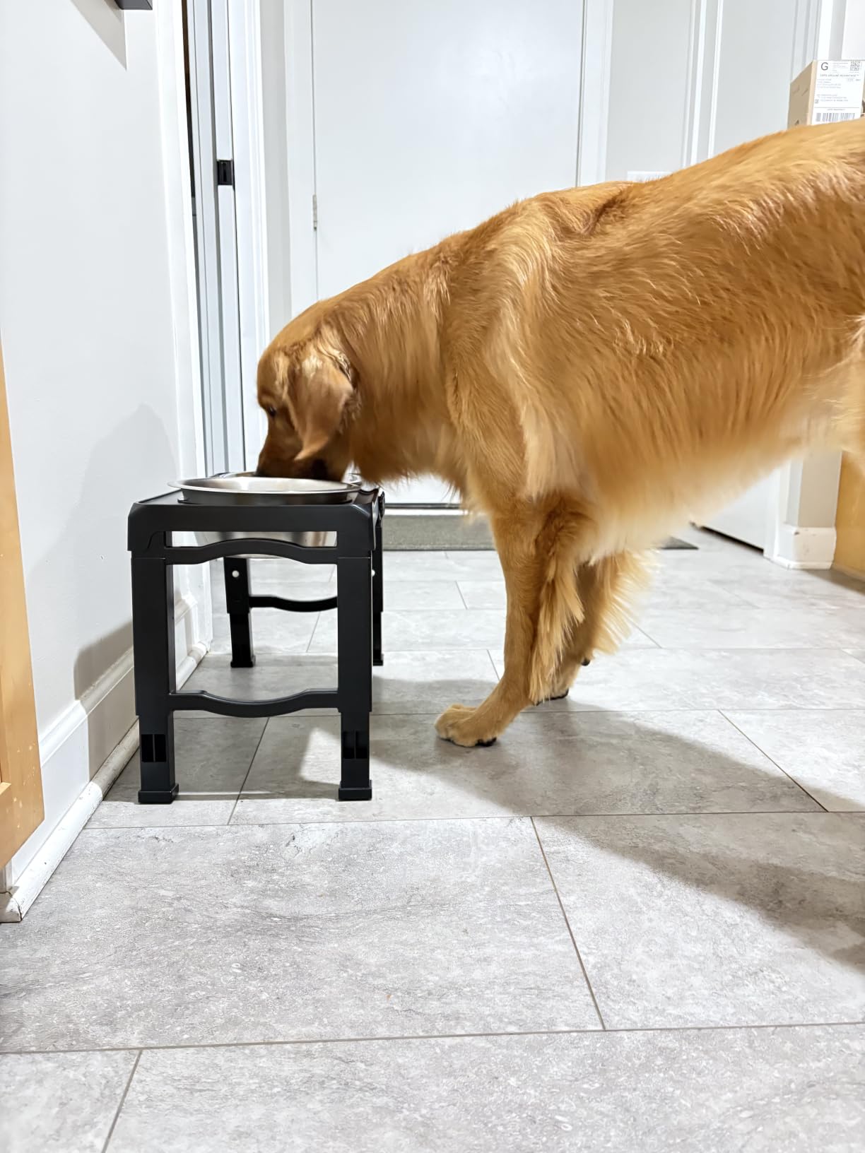 COMESOON Elevated Dog Bowls, 4 Height Adjustable Raised Bowl Stand with 2 Thick 50oz Stainless Steel Food Bowls Non-Slip Feeder Adjusts to 3.7'', 9.2'', 10.75'', 12.36'' Black, (DB-W01) customer photo 1