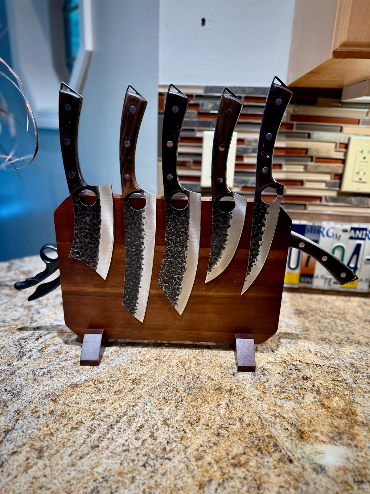 DRGSKL Serbian Chef Knife Set - 10 PCS Hand Forged Knife Set with Bag customer photo 1